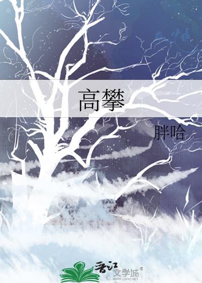 高攀txt