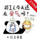 今天去打工了 打的什么工