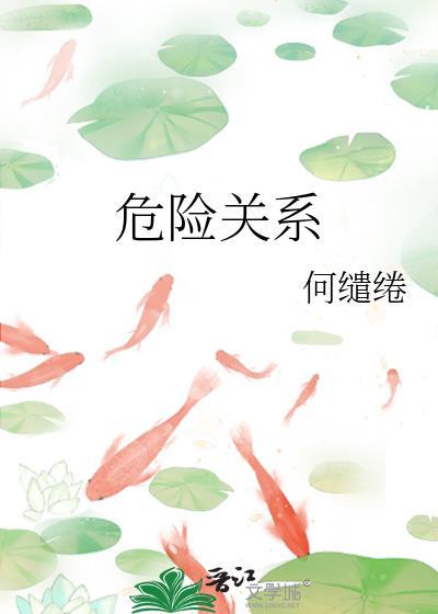 危险关系孙俪全集