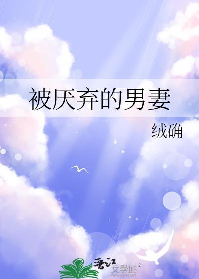 被厌弃的男妻讲的啥