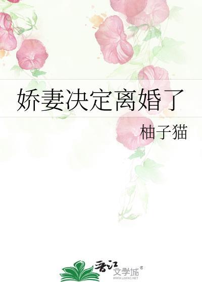 娇妻决定离婚了桑荔番外